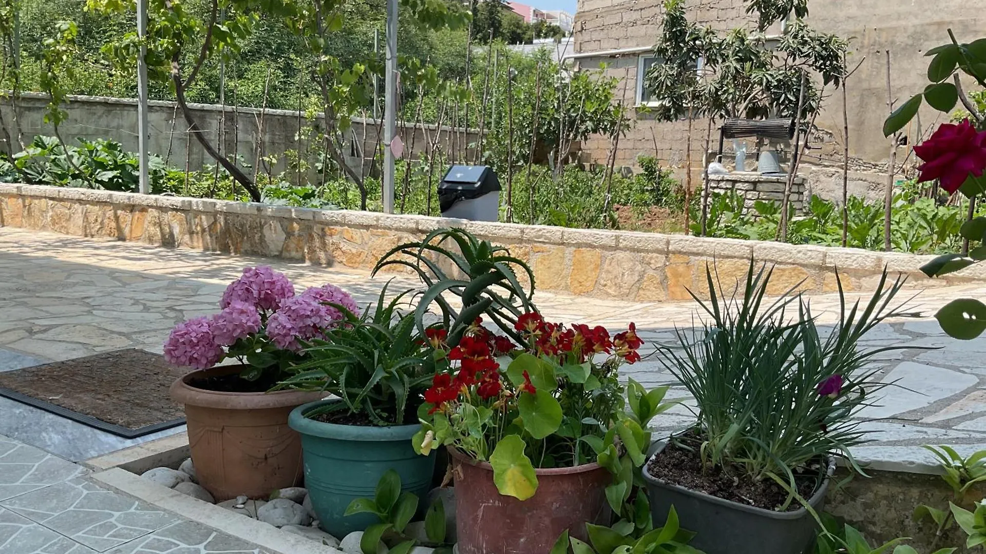Garden Holiday Studios Himare 0*,  Albania